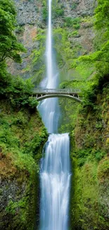 Stunning waterfall cascading under a scenic green bridge with lush foliage.