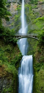 Serene waterfall flowing under a scenic bridge amid greenery.