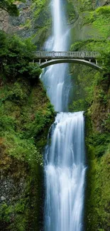 A waterfall under a bridge in a lush green forest.