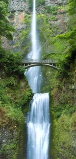 Serene waterfall cascading under a bridge with lush green surroundings.