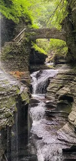 Serene canyon waterfall with lush greenery.