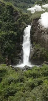 Serene waterfall amidst lush green scenery.