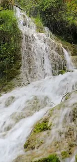 Serene waterfall flowing in lush green forest.