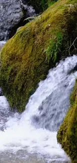 Lush forest waterfall with moss-covered rocks and streaming water, creating a serene scene.