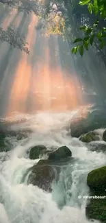 Waterfall with sunlight through forest leaves