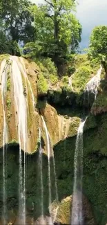 Mobile wallpaper of a lush green forest with cascading waterfall.