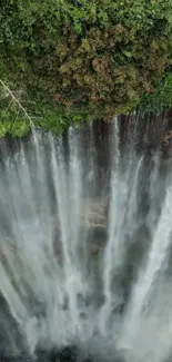 Majestic waterfall with lush green forest background.