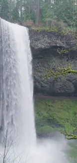 Lush waterfall in a green forest setting.