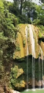 Serene waterfall amidst lush green forest landscape.