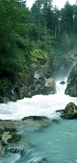 Serene waterfall flowing through lush green forest.