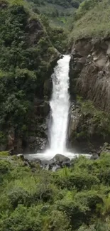 A serene waterfall flowing through a lush green forest.