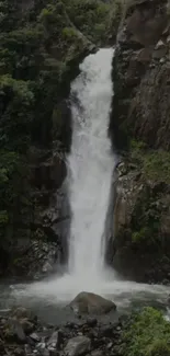 Waterfall cascading in a lush green forest scenery.