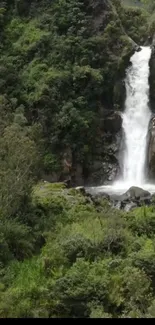 Waterfall cascading through a lush, green forest.