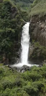 A serene waterfall surrounded by lush greenery in a forest setting.