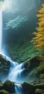 Serene waterfall cascading through lush forest scenery.