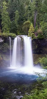 Mobile wallpaper with a cascading waterfall surrounded by lush green forest.