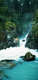 Teal river flows through a lush forest with a waterfall.