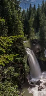 A serene waterfall flows through a lush green forest.