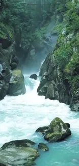 A tranquil waterfall flowing through a lush green forest, perfect for mobile wallpaper.