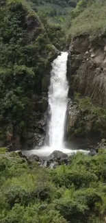 Serene waterfall surrounded by lush greenery.