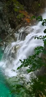 A vibrant waterfall cascading amidst lush green foliage.