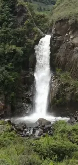 A cascading waterfall in a lush green forest scene.