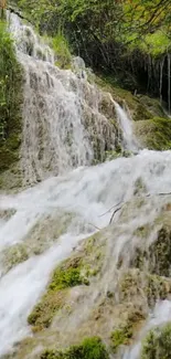 Mobile wallpaper of a serene waterfall in a lush forest setting.