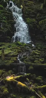 Serene waterfall flowing in a lush forest setting.