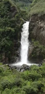 A stunning waterfall surrounded by lush green foliage.