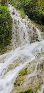 Tranquil waterfall in a lush forest setting.