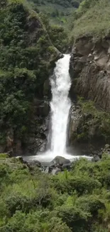 Cascading waterfall in a lush forest with green foliage.