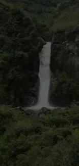 Serene waterfall amidst lush green forest