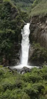 Lush forest with a waterfall cascading in nature.