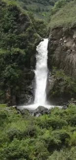 Beautiful waterfall amidst lush green forest landscape.