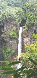 Waterfall cascading through lush green forest landscape.