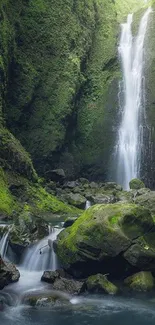 Waterfall in a lush green forest with cascading water.