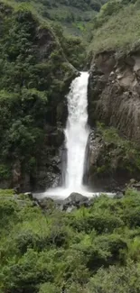 Peaceful waterfall in a lush, green forest landscape.