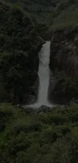 A serene forest scene with a cascading waterfall.