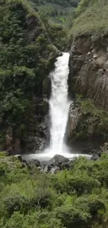 Beautiful waterfall surrounded by green forest.