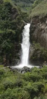 Waterfall amidst lush green forest landscape.