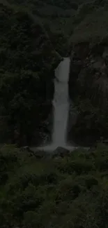 Beautiful waterfall cascading in a lush, green forest landscape.