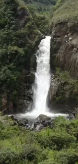 Serene waterfall cascading in lush forest setting.