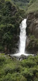 Cascading waterfall surrounded by lush greenery in a tranquil forest setting.