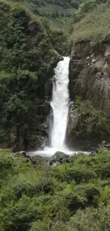 A captivating waterfall in a lush forest setting, surrounded by green foliage.