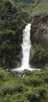 Waterfall flowing in a lush green forest, ideal for nature wallpaper.