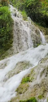 Cascading waterfall over mossy rocks in a lush forest setting.