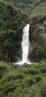 Serene waterfall surrounded by lush greenery