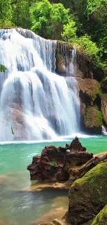 Serene waterfall amidst lush green forest