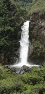 Majestic waterfall flowing amid lush green forest.