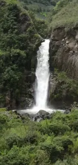 A serene waterfall flowing through lush green jungle landscape.